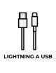 Cable Apple Lightning a USB V2 / 1M