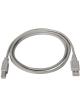 Cable USB 2.0 Impresora Aisens A101-0004/ USB Tipo-B Macho - USB Macho/ Hasta 2.5W/ 60Mbps/ 4.5m/ Beige