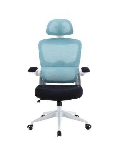 Silla Gaming Woxter Ergo/ Azul