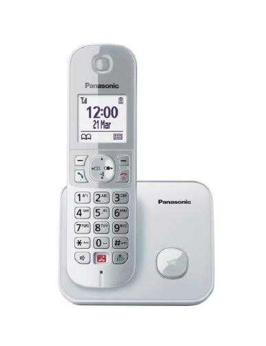 Teléfono Inalámbrico Panasonic KX-TG6851SP/ Plata