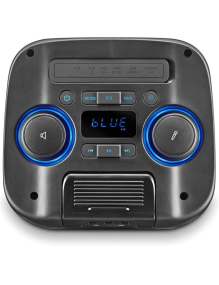 Altavoz Portable con Bluetooth NGS Wild Club/ 80W